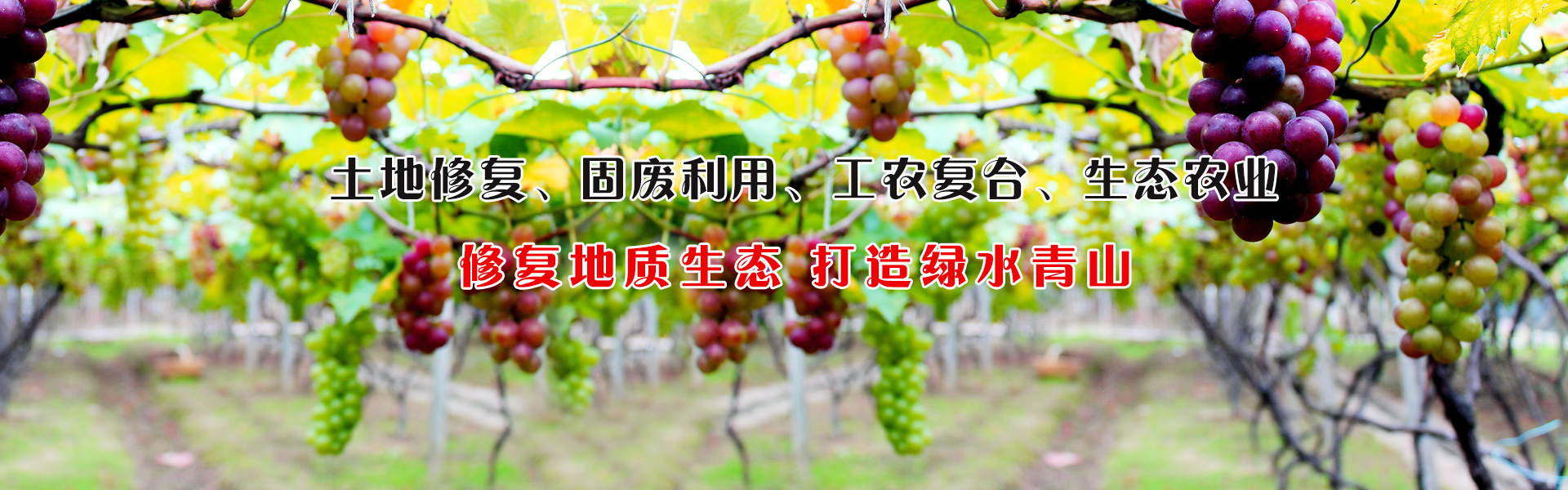 上?；沼铍娮涌萍加邢薰句N售產(chǎn)品理念專業(yè)踏實誠懇務實